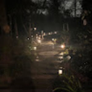 Meet your Posher, Kelli